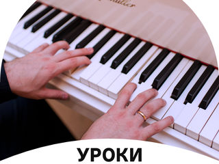 Чеканы.  Фортепиано. lecţii de pian. Ciocana. foto 3