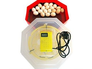 Incubator manual cu termometru 60 ouă găină Cleo 5T/Инкубатор/Garantie/Livrare Gratuita/ 700 lei foto 1