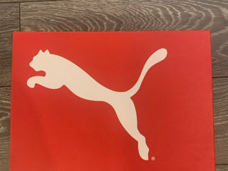 Puma