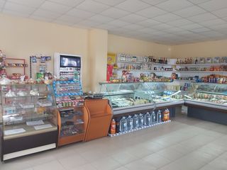 Imobil comercial deosebit