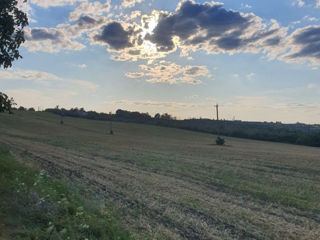 Teren Orhei - 2 ha, prima linie, la traseu foto 8