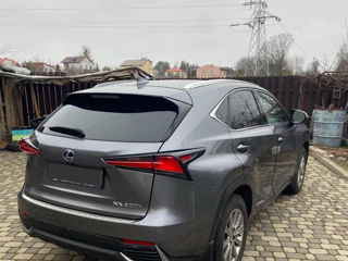 Lexus NX Series foto 4