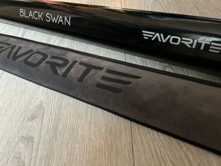 Favorite Black Swan BSW1-982M-T 2.94m 6-21g Fast