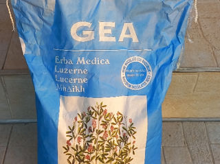 GEA italiana originala