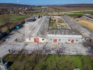 Vânzare, depozit, 2300 mp, comuna Bălțata, Criuleni foto 3