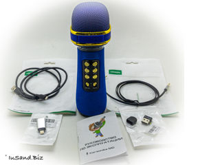 Microfon Karaoke Pentru Copii - "Karaonika MD-2"