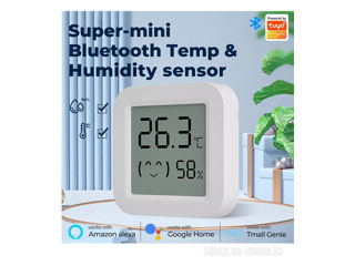 AE-TM-TH05 Temperature and humidity sensor, Senzor de temperatură și umiditate Tuya smart Alexa, Goo foto 5