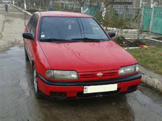 Nissan Primera foto 1