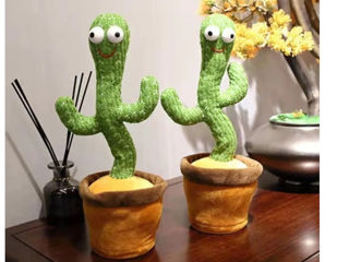 Cactus - dansează, cântă, repeta după  tine! foto 5