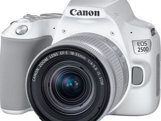 DSLR Camera CANON EOS 250D 18-55 f/3.5-5.6 IS STM White (3458C003) foto 1