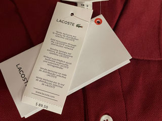 Lacoste polo