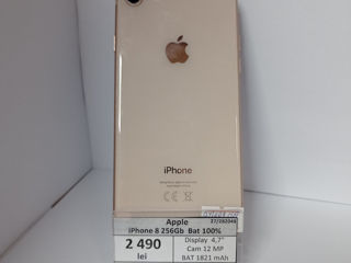 Apple iPhone 8 256 Gb Bat 100 %