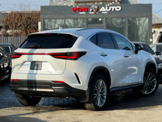 Lexus NX Series foto 3