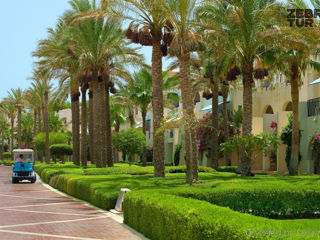 Egipt, Sharm El Sheikh - Grand Rotana Resort & Spa 5*