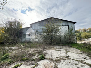 Vanzare teren 39 ari + Hală Industrială 600 mp, Botanica, șoseaua Muncești! foto 8