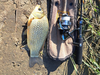 Спиннинг Gamakatsu Luxxe Yoihime Ten S511FL-Solid (1.80m 0.1-2.5 гр.) (Made in Japan) foto 11