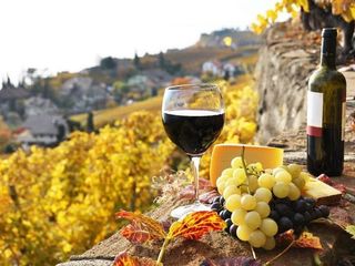 Lista actelor privind securitatea și sănătatea în muncă în domeniul vitivinicol (vinarie)