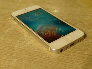 iPhone 5