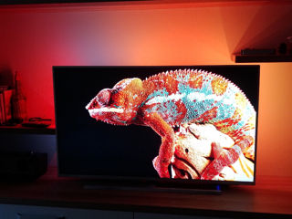 Televizor LED Philips 50