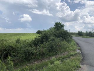 se vinde teren agricol 324 Sote Colonita prima linie  7KM de la Ciocana. Direct de la propiietar foto 3