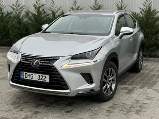 Lexus NX Series