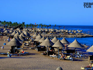 Egipt, Sharm El Sheikh - Parrotel Beach Resort 5* foto 5