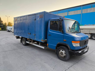 Mercedes Vario foto 2