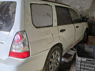 Subaru Forester foto 3