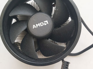 Culere intel/amd foto 3