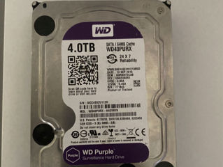 HDD 4 TB Western Digital Purple