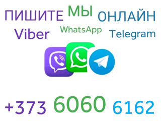 Закупаем субпродукты, рубец, фарш. Говядина, баранина, конина, птица. Для кормления собак. foto 8