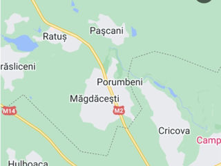 Teren pentru constructie Pașcani. Urgent