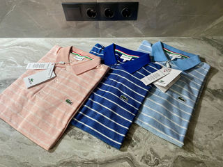 Polo, Original, Nou, Marimi Disponibile, In Stock foto 5