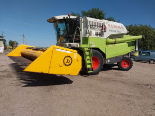 Claas Mega 360 Heder de porumb комбаин и жатка для кукурузы foto 1