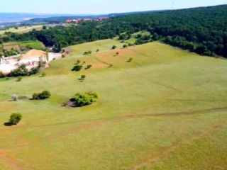 Hincesti 19 hectare pe un număr cadastral marginea orasului lingă pădure foto 12