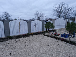Gard din lemn foto 13