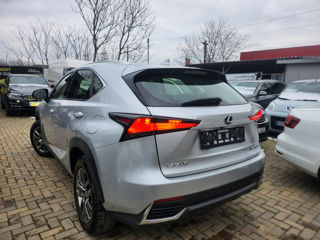 Lexus NX Series foto 13