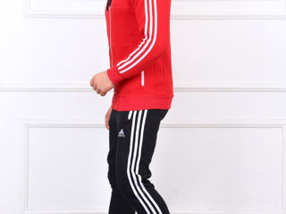 Adidas Nike foto 2