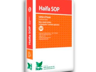 Haifa SOP / Sulfat De Potasiu / Haifa Chemicals Ltd. foto 1