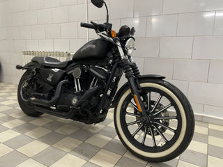 Harley - Davidson Iron883