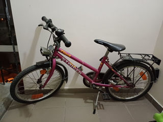 Bicicleta Steiger Flash