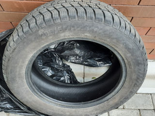 Продаю зимнюю шину Gislaved 205/55 R16 - 1 штука фото 9