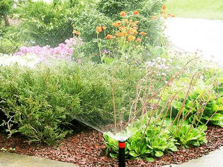 Системы автоматического полива газонов, клумб, огорода! ("rain bird" - качество, которое выбирают!) foto 7