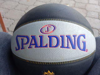 Spalding Red Bull court TF33 foto 3