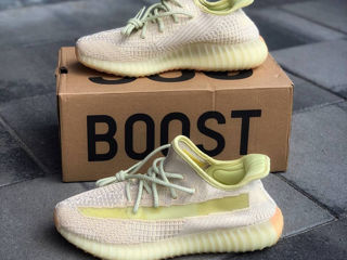 Adidas Yeezy Boost 350 V2 Antlia foto 5