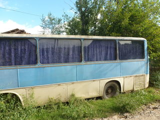 Ikarus foto 2