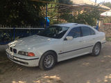 BMW 5 Series foto 2