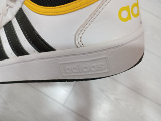 Adidas shoes foto 5