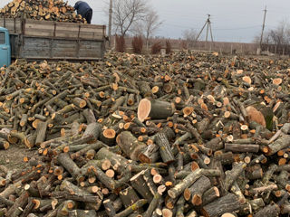 Продам дрова твёрдые породы .доставка бесплатная