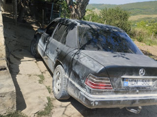 Mercedes Series (W124) foto 5